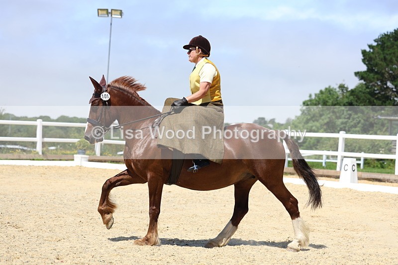 3E7A0953 - Class 3: Unaffiliated Prelim 3 2024 Section A