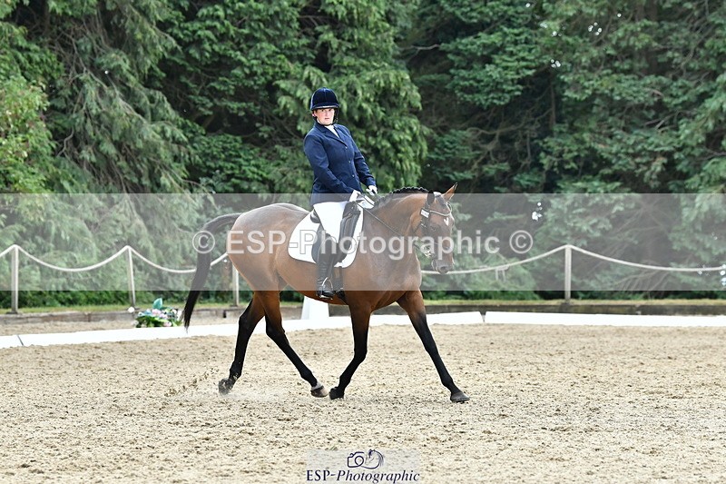 260801A-113910-03632 - Prelim Bronze Break - End
