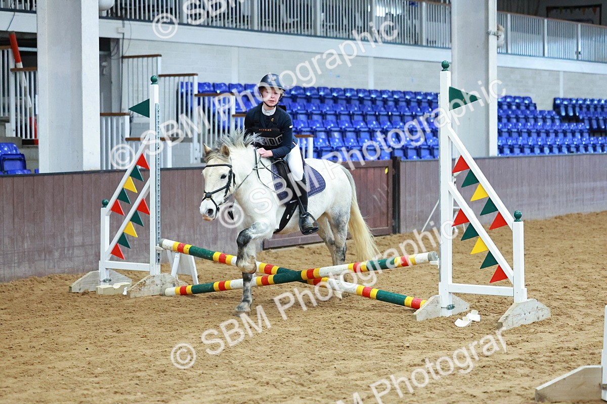 SBM_005499 - Class 2 - 50cm