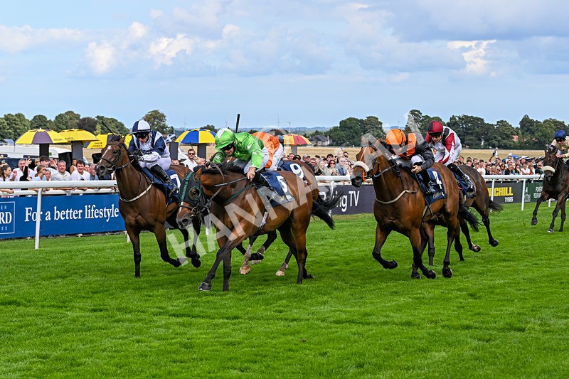 300826-Race 2-Jm Jungle-9680 - Race 2 2.15pm William Hill Beverley Bullet Sprint Stakes