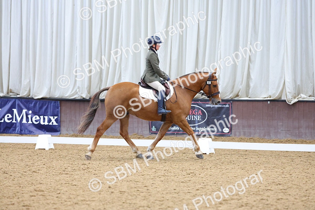 SBM_001946 - Class 5 - Novice 3