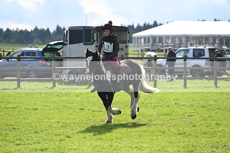 WJ7_3718 - 40cm Time 10:26 to 10:42