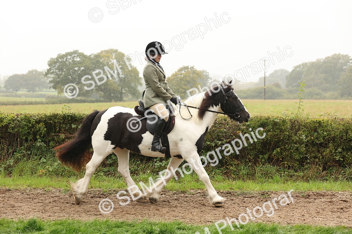 SBM_72697 - S70 - Traditional Cob Ridden