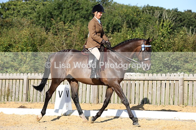 1X9A7539 - Class 7: Novice Ridden Hunter/Hack/Cob/Riding Horse