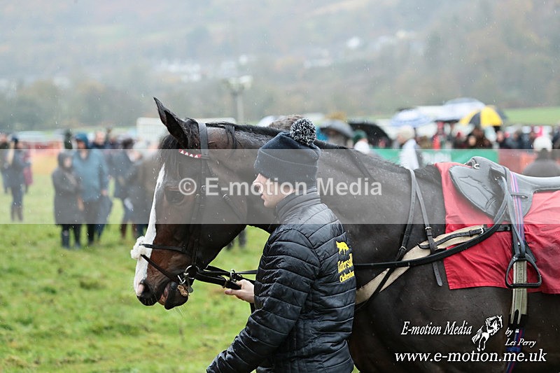 PtP 091125 0261 - Point-to-Point Wales Area Club Lower Machen, Gwent 09/11/25