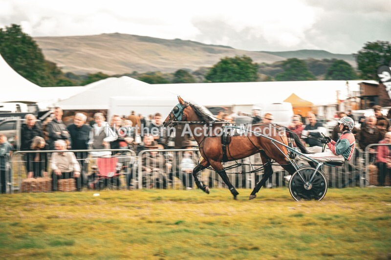 DSCF7236 - Kilnsey Harness racing