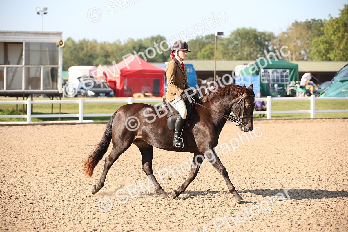 SBM_00640 - Class 14 Ridden M&M Wildcard