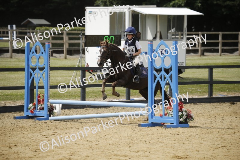 20250622-4097 - 50cm