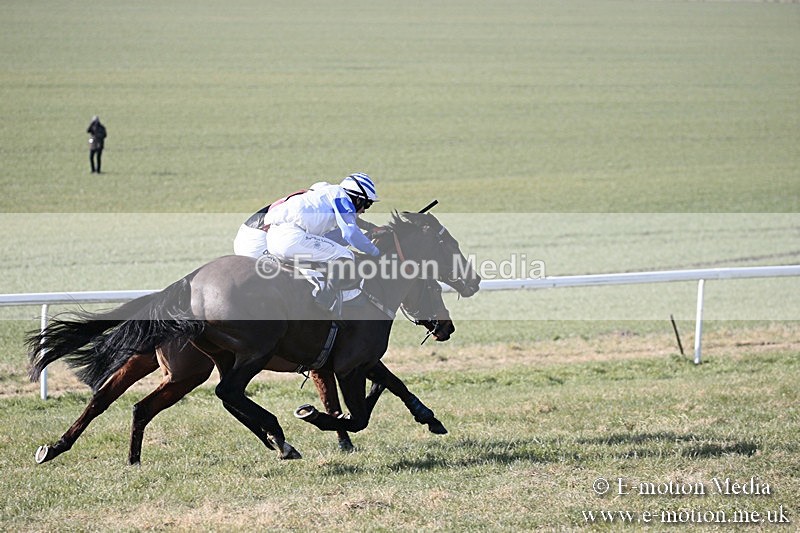 PtP 240218 82 - Vine & Craven Hunt Point-to-Point Barbury racecourse 24/02/18