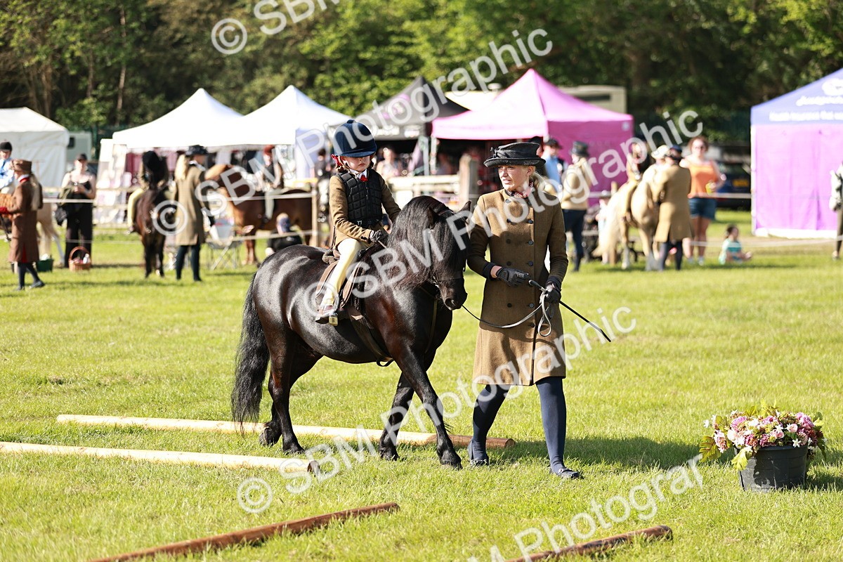 SBM_11270 - Class 106-107 - BSPS LIHS Working Sports Pony