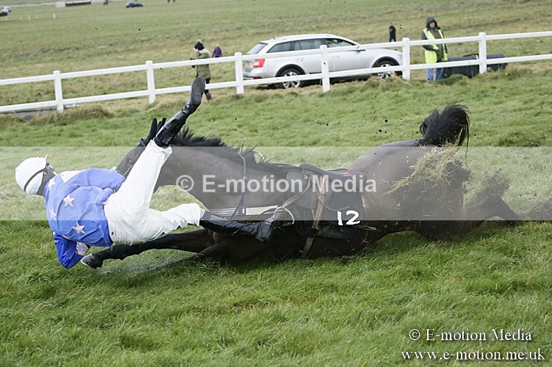 PtP 031217 778 - Hursley Hambledon Point-to-Point Larkhill 03/12/17