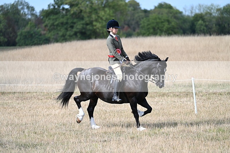 WJ7_7617 - Ridden Championship