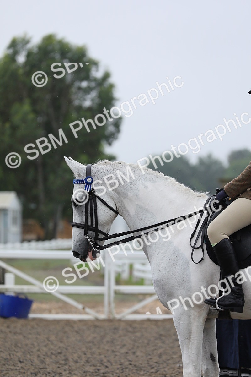 SBM_20027 - Class 802 - Ridden Groom - Helpers class