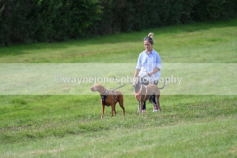 WJ7_7258 - Time 13:13 to 13:20