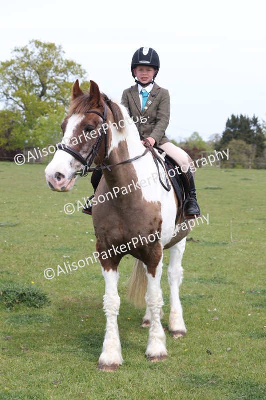 20260426-4394 - Class 34 - Best Riding Horse Over 14.2hh