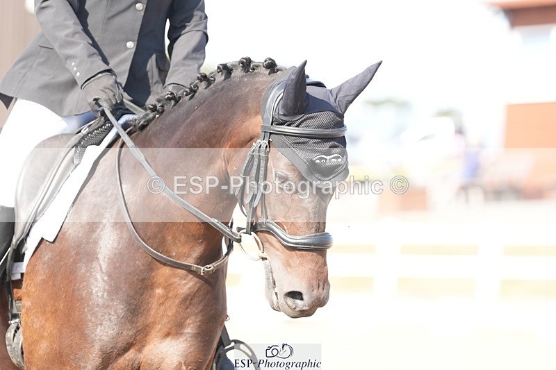 250817-164521-11951 - 210-Zoe.SmartBroadtown.King.Fisher