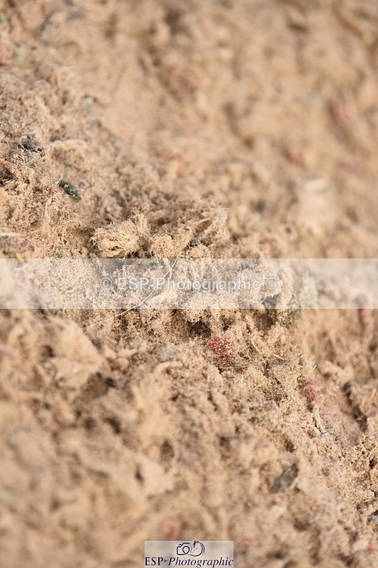 230915A-112046-00288 - Cls 9 British Novice & 90cm Open