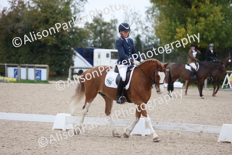 20251011-0352 - Class 3 - Prelim 2