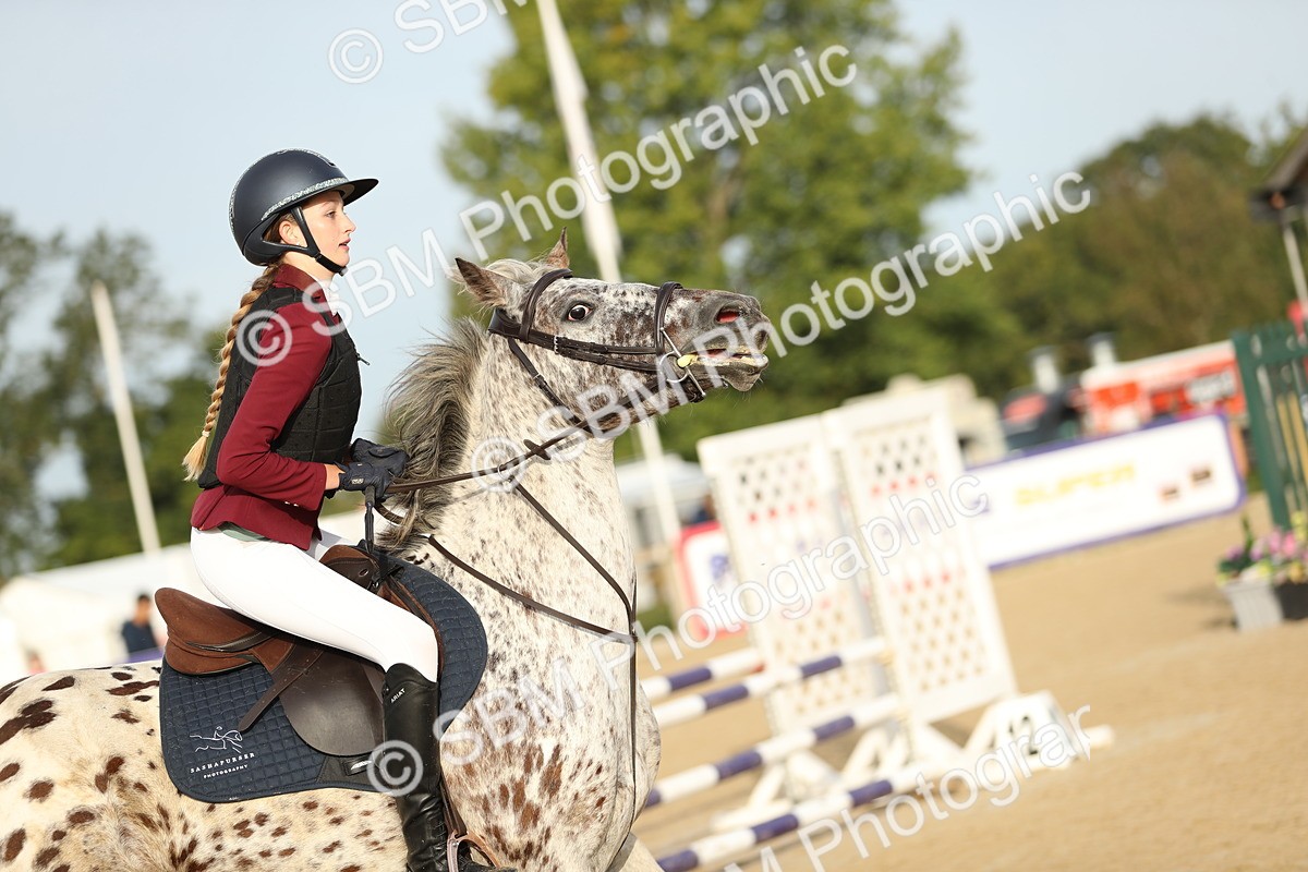 SBM_55934 - J24 - Junior Horse 75cm Championship