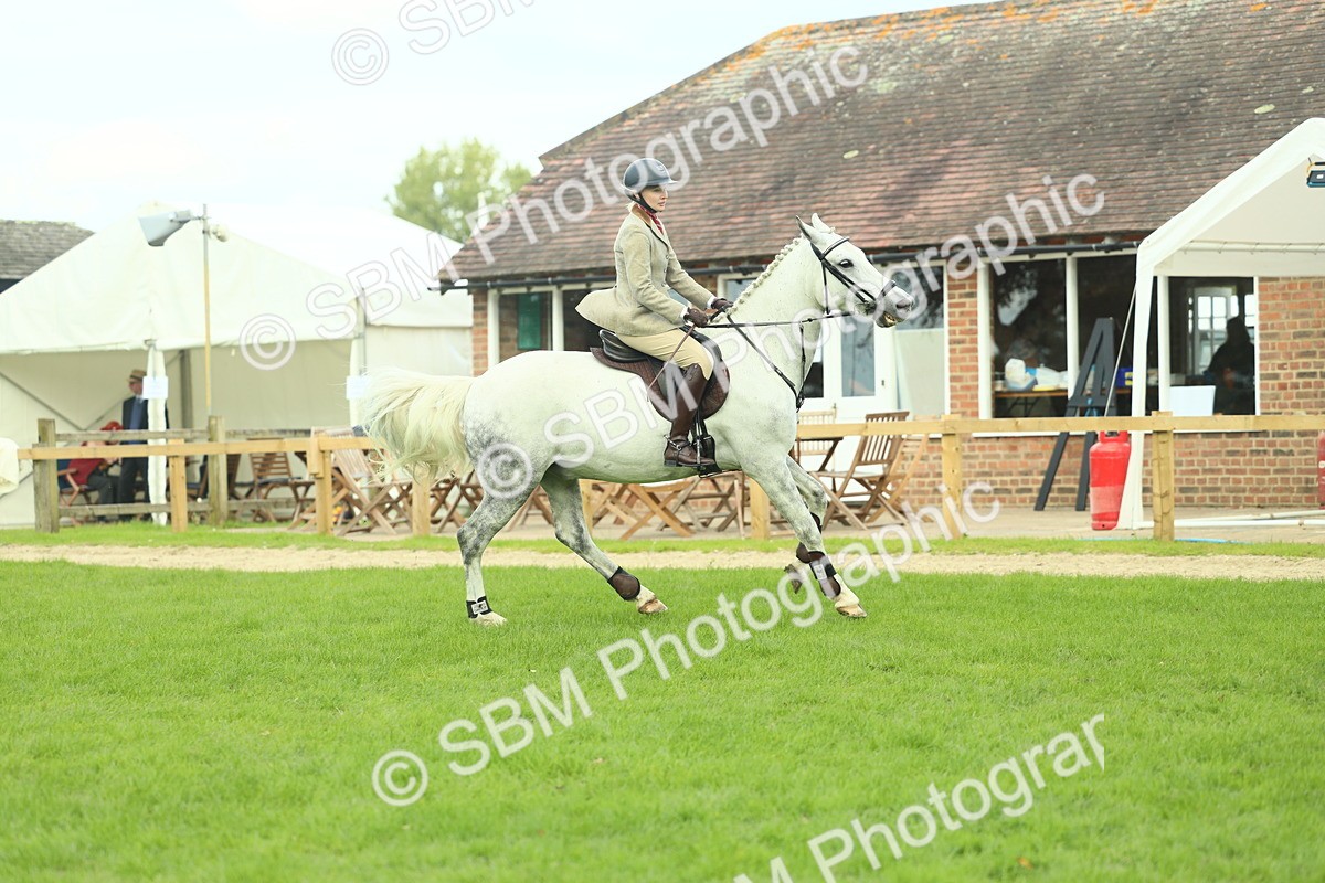 SBM_47980 - S32 - Novice & Newcomers Working Hunter