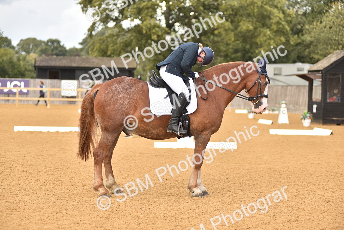 SBM_24390 - D4 - Small Tour Championship Intro 4