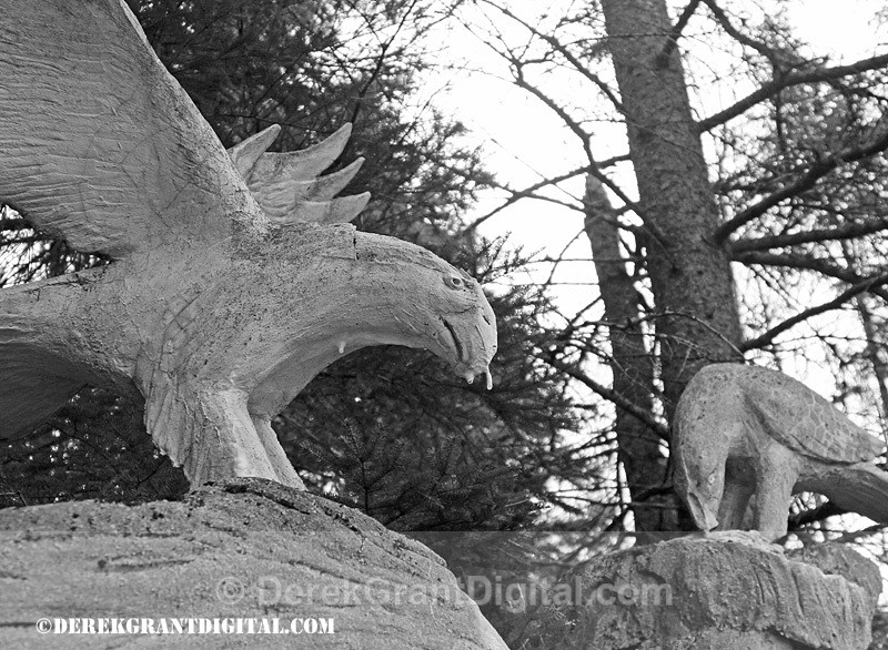 Animaland Sussex New Brunswick Canada - Animaland