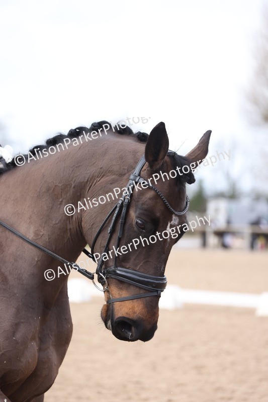 20260301-0887 - Class 5 - Elementary 4