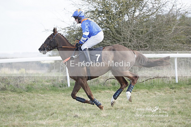 PtP 260223 563 - South & West Wilts Point-to-Point Larkhill 26/02/23