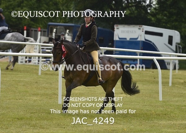 JAC_4249 - WORKING HUNTER CHAMPIONSHIP