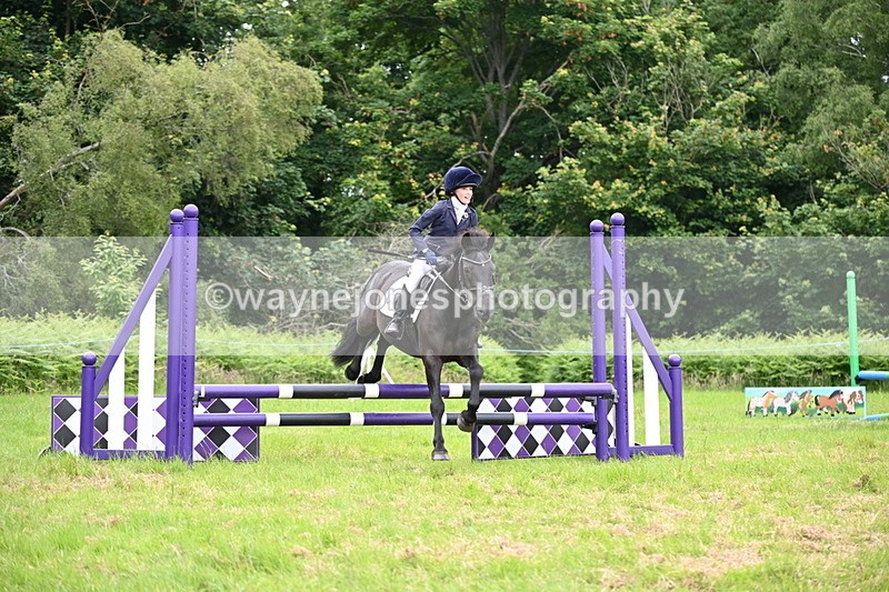 WJ6_5510 - Class 5 pairs 70cm