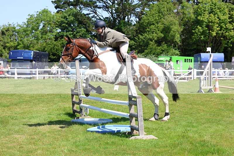 3E7A6875 - Class 30: Novice Working Hunter