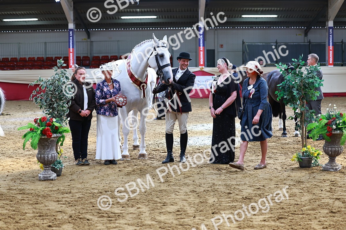SBM_23287 - Class 903 - Supreme Final - IH Pre Vet