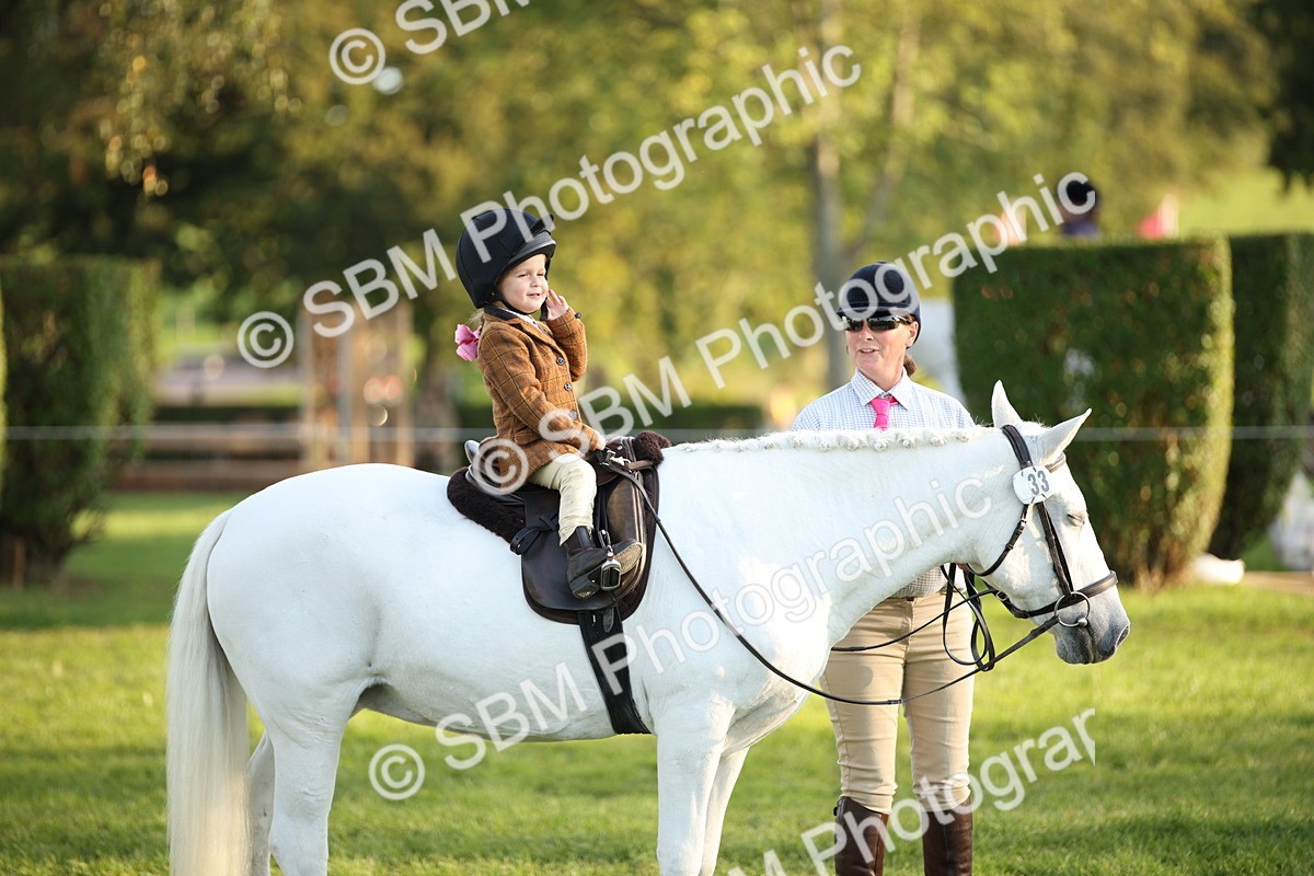 SBM_54468 - S27 - Mature Veteran - Ridden