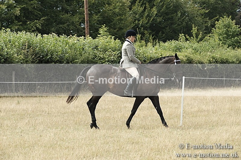 _PJP6080 - BVRC Show 2018 Ring 1