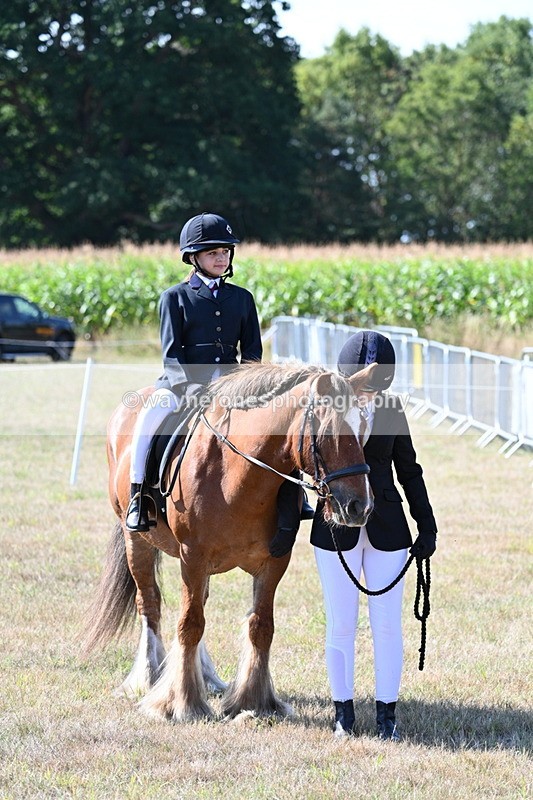 WJ7_3173 - Class 8 Ridden Tack & Turnout