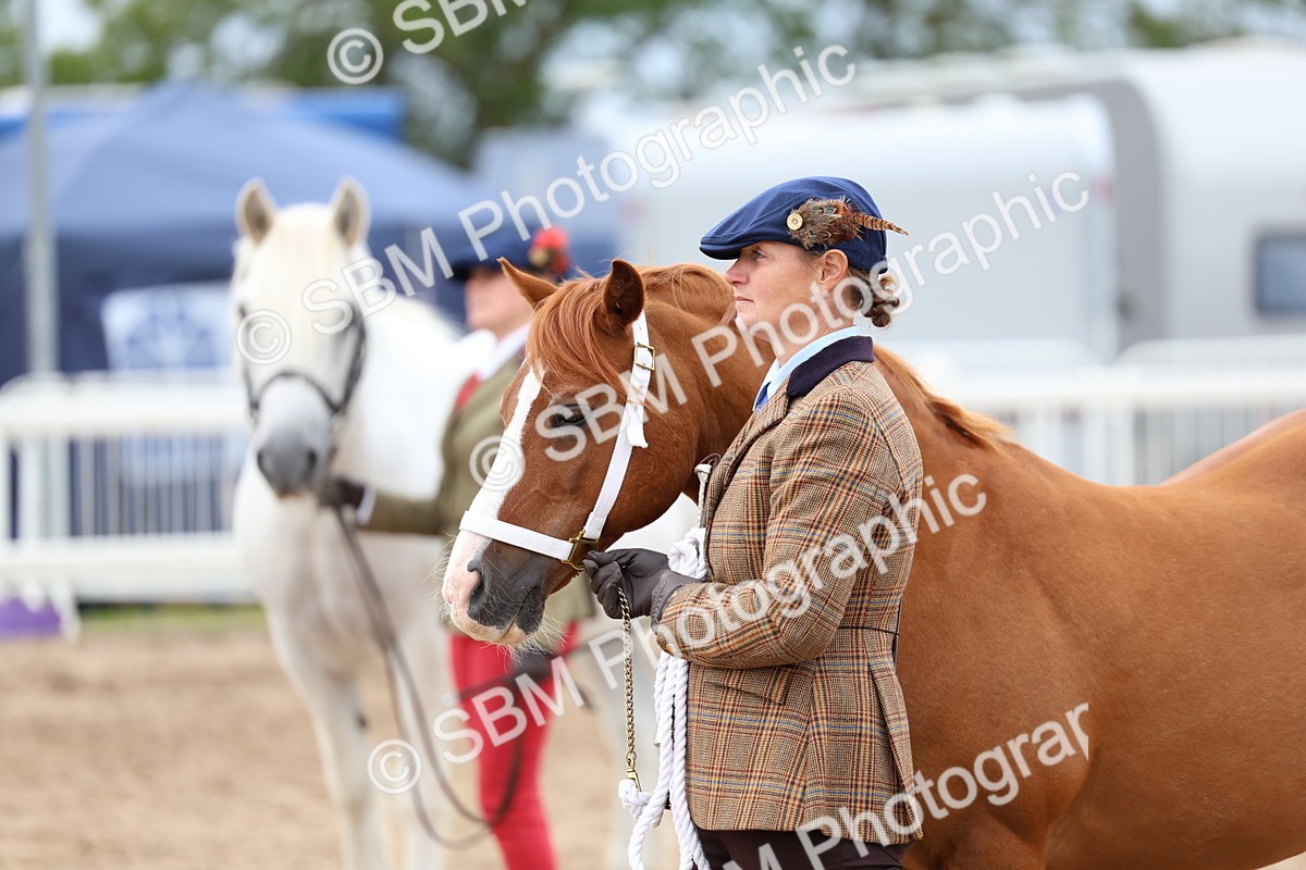 SBM_05939 - Class 29 - IH Veteran Pony
