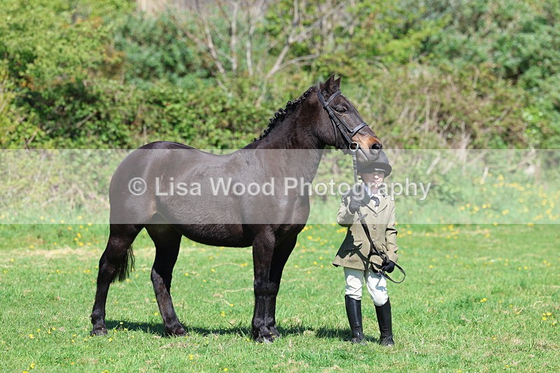 3E7A9866 - Class 17: Young Handler