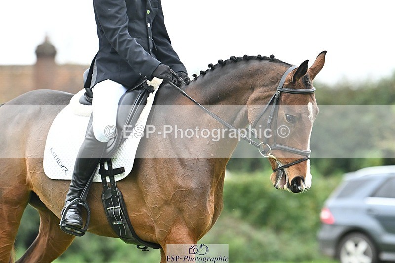 241024-133256-04136 - 327-Daniel.Hockey-JANE.CAMILLE