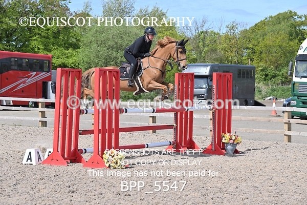 BPP_5547 - CLASS 6 Newcomers/ 1.10m Open