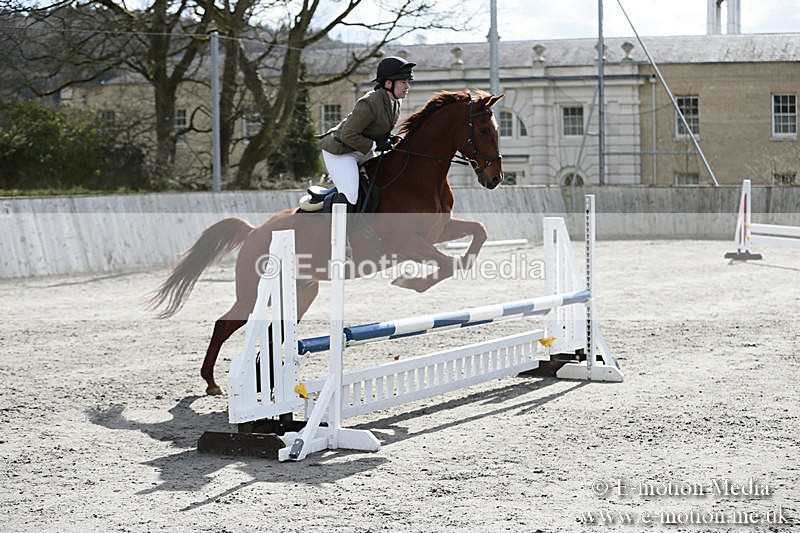 BVRC SJ 170319 331 - Bourne Valley Riding Club Showjumping 17/03/19