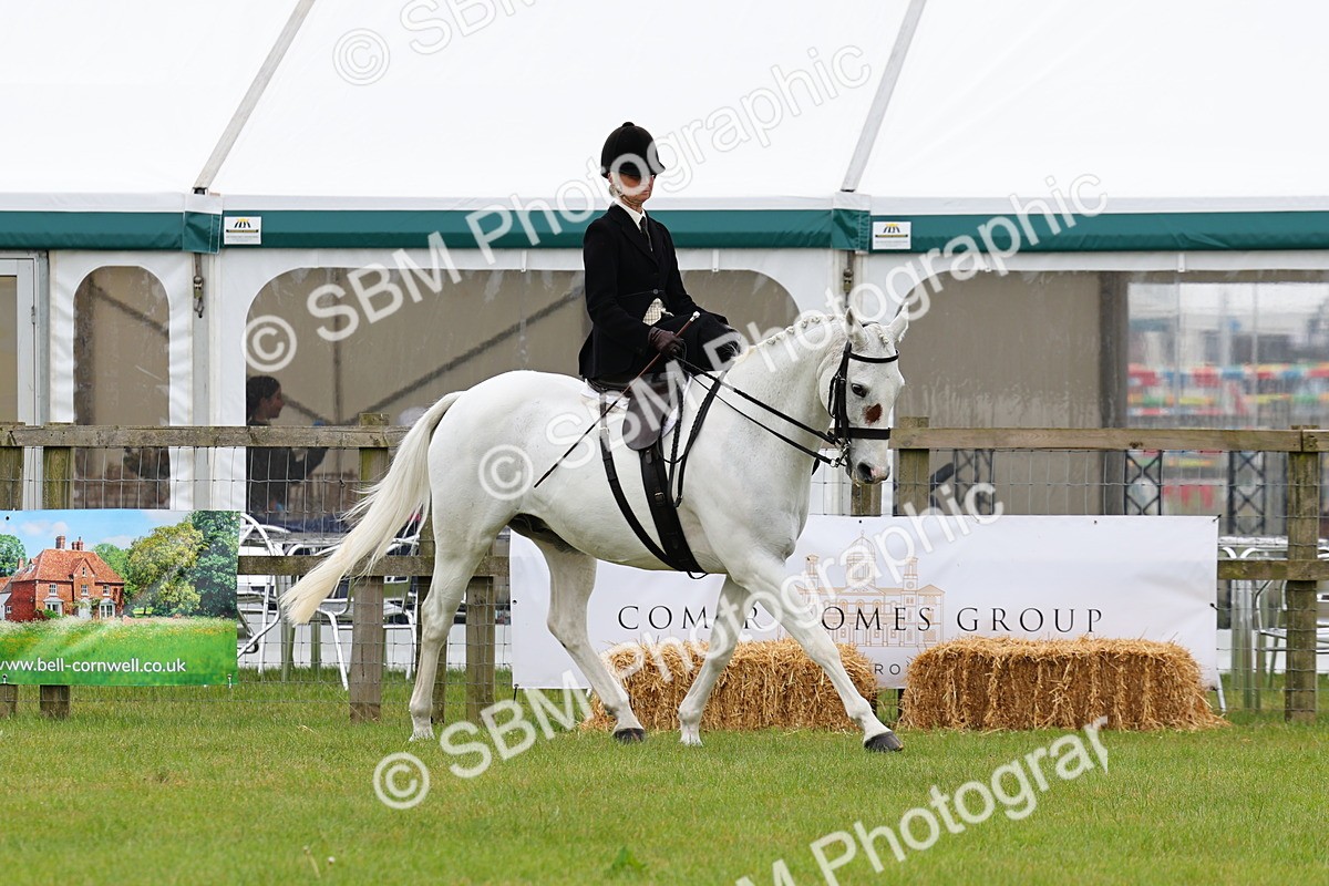 SBM_02963 - Class 9-11 Side Saddle including LIHS Rising Star Ladies Show Horse