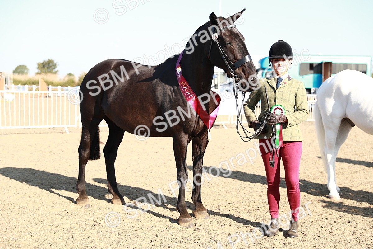 SBM_00124 - Class 40 Best Turned Out IH