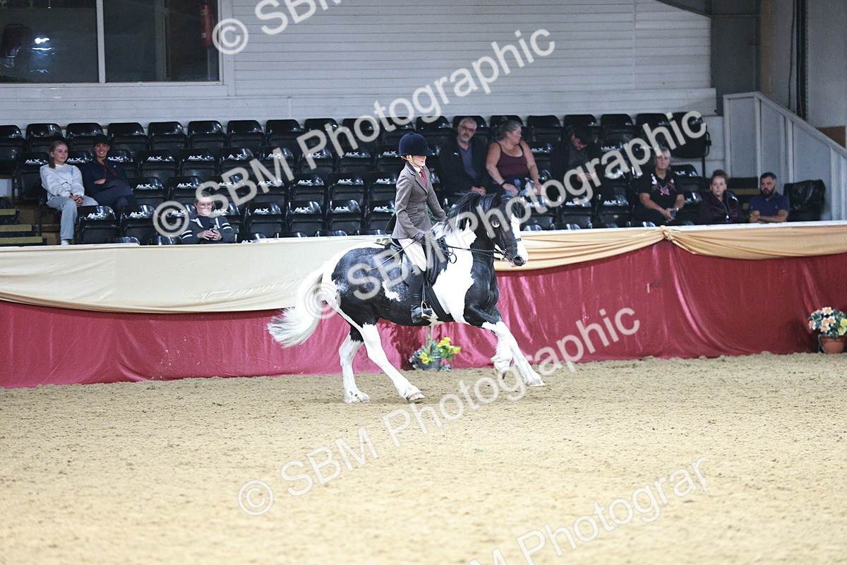SBM_03658 - Class 6A Area Ridden Pre-Vet