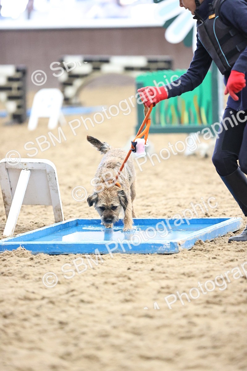 SBM_001255 - Class 3 - Horse & Hound 60cm