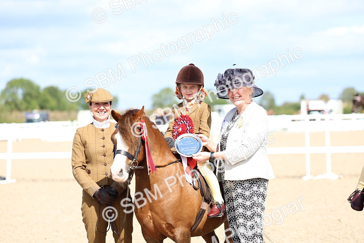 SBM_13114 - Class 309 - Lead Rein Pony