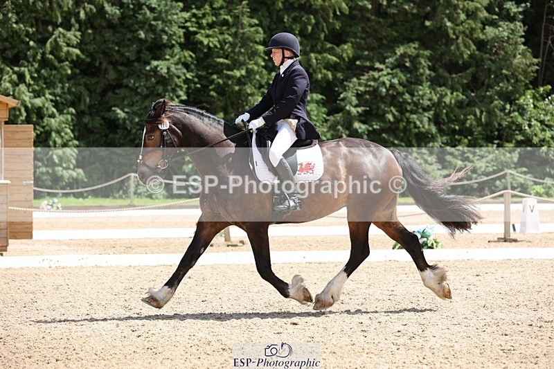 240721-133207-08833 - 176-Amanda_Williams-Llanarth_Westminster