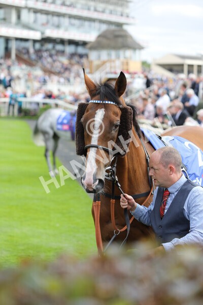 yr17082022r5-5 - Race 5 4.10pm Sky Bet Stayers Stakes