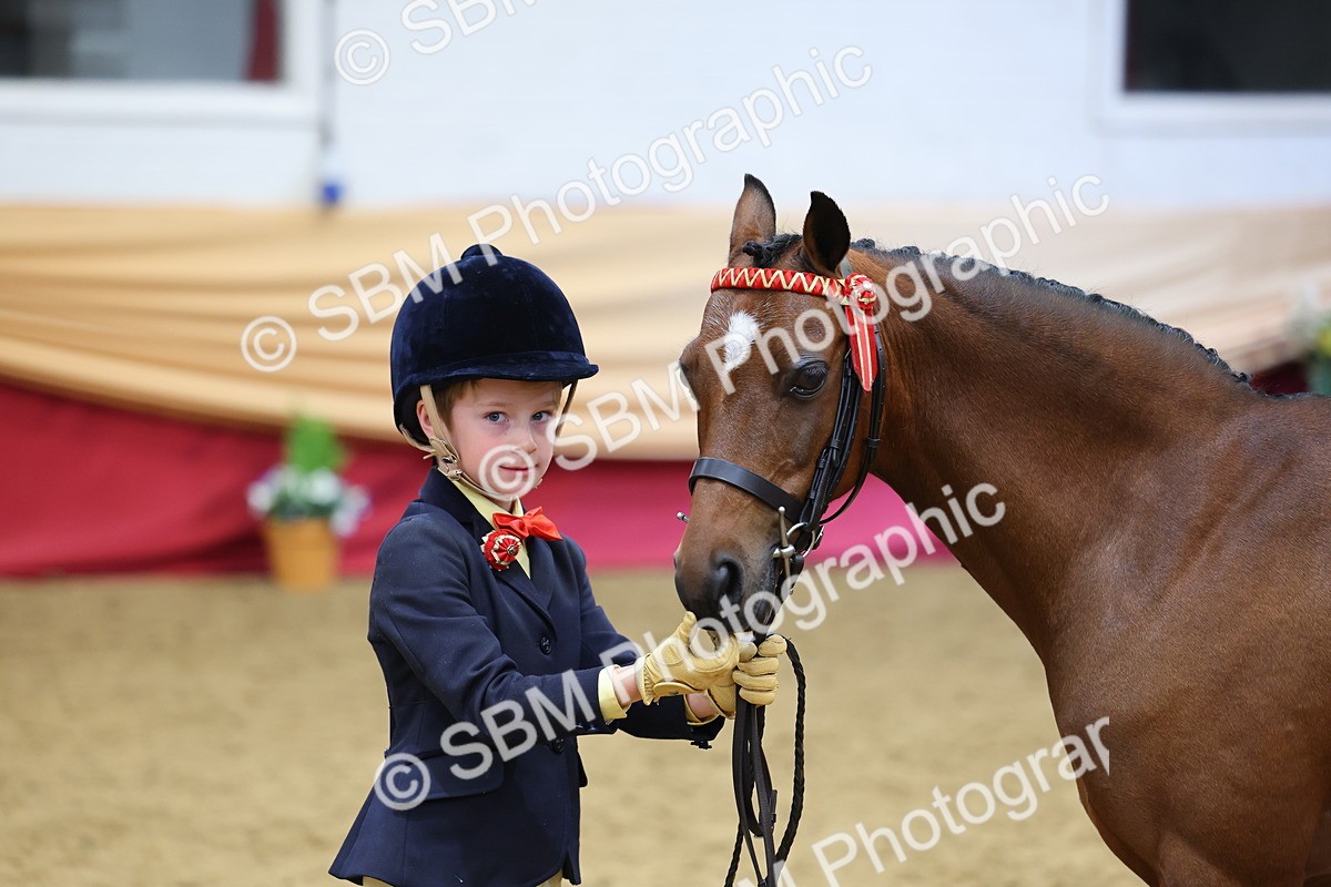 SBM_22711 - Class 903 - Supreme Final - IH Pre Vet