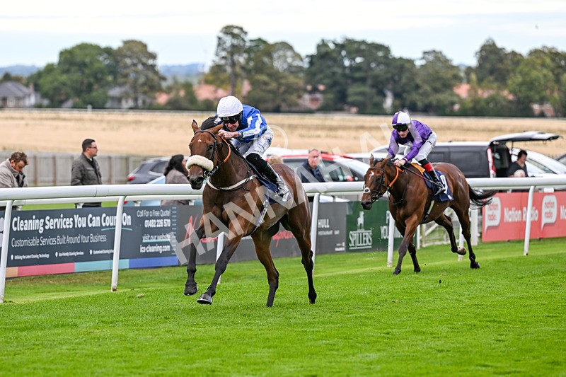 170925-Race 2-Lady Youmzain-4077 - Race 2