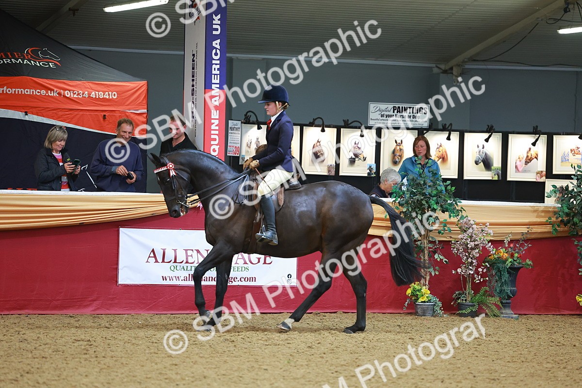SBM_10665 - Class 103 - HOYS Veteran Qualifier - Ridden Pre Vet
